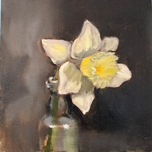 Daffodil in the Moonlight