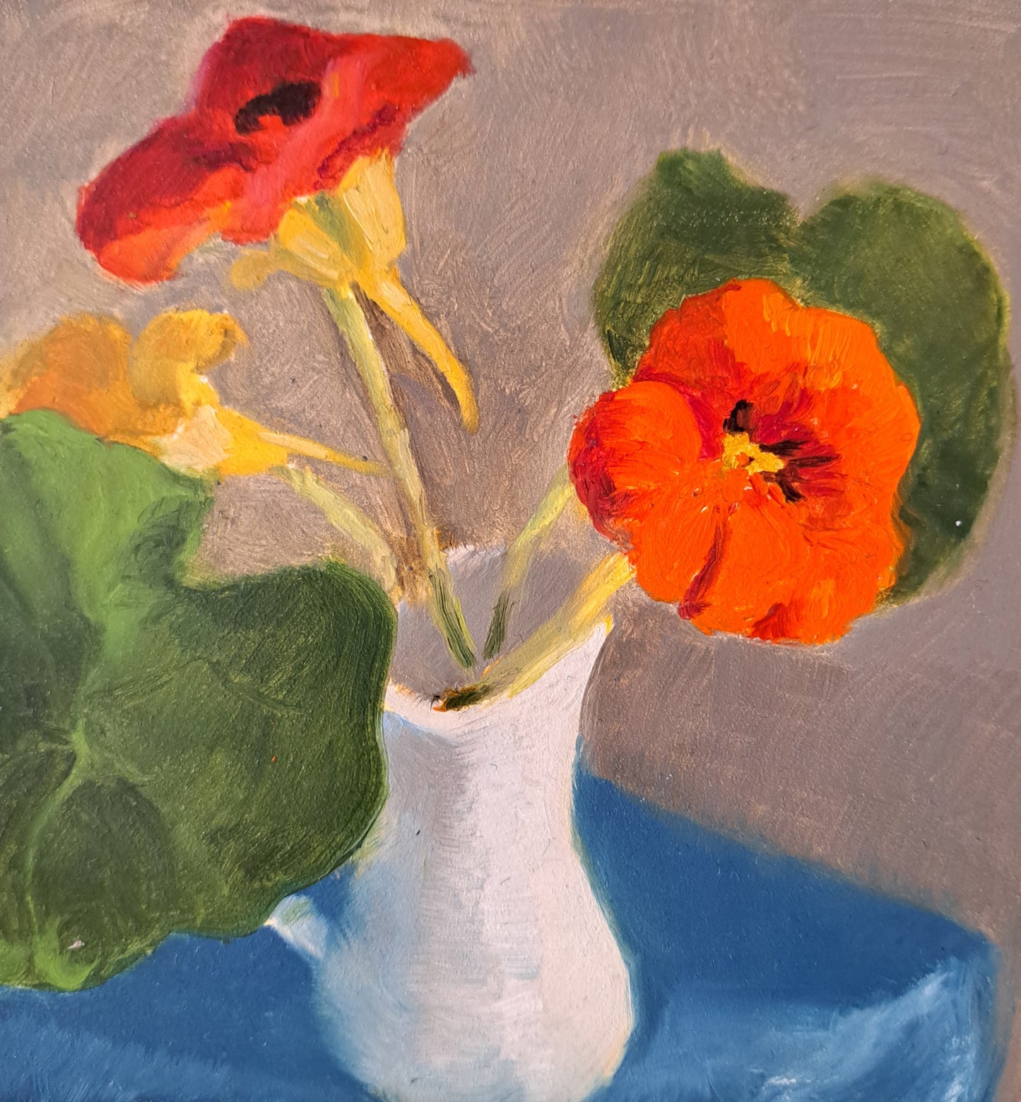 Nasturtium in a White Jug